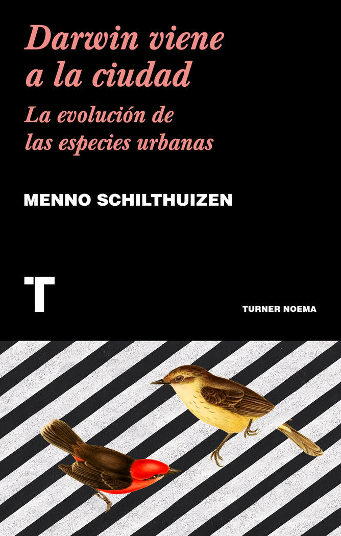 Darwin viene a la ciudad, de Schilthuizen, Menno | portada del libro