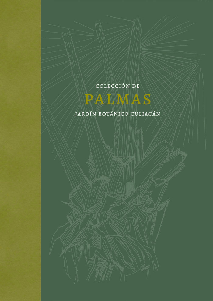 Palmas, de Equihua, Clementina | portada del libro