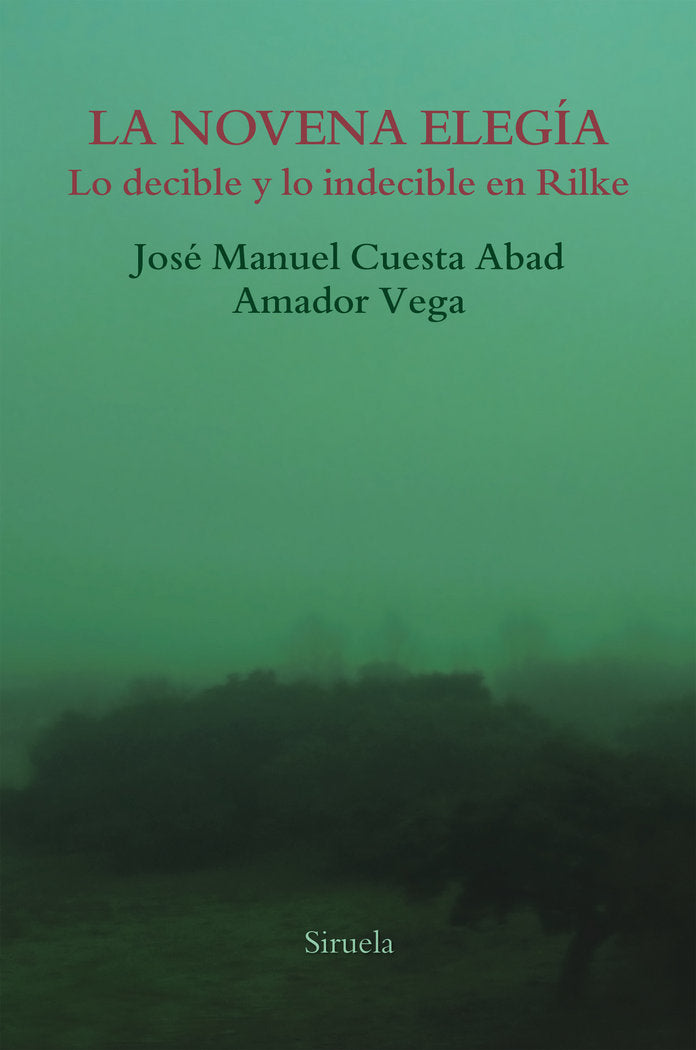 La novena elegía, de Vega, Amador | portada del libro
