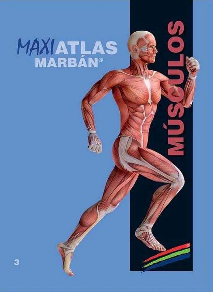 Maxi Atlas Musculos T.3, de VV.AA. | portada del libro