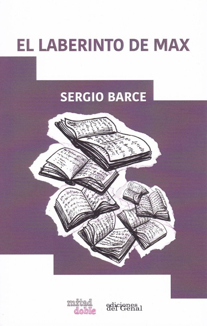 El laberinto de Max, de BARCE GALLARDO | portada del libro