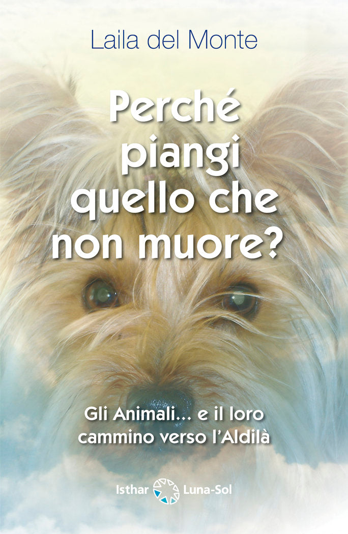 Perché piangi ciò che non muore?, de Del Monte, Laila | portada del libro