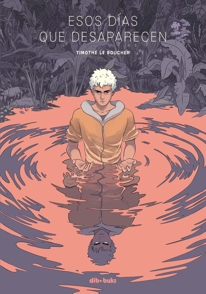 Esos días que desaparecen, de Le Boucher | portada del libro