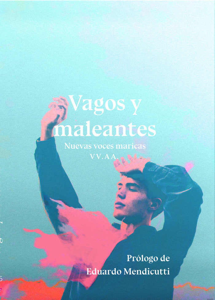 Vagos y maleantes | portada del libro