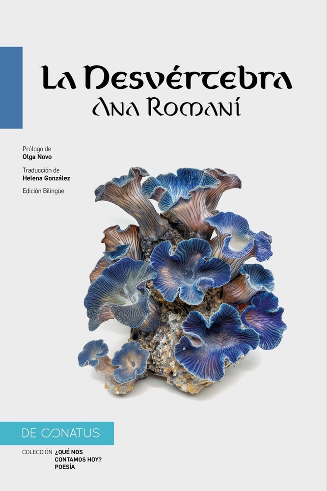 DESVERTEBRA, de ROMANI, ANA | portada del libro