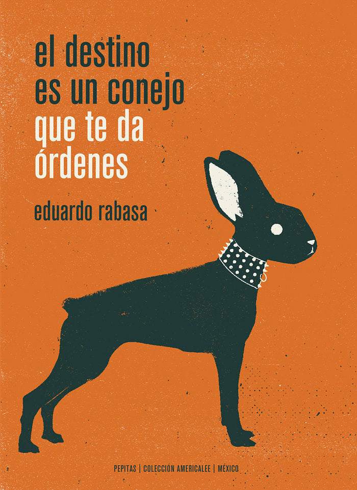 El destino es un conejo que te da órdenes, de Rabasa Salinas, Eduardo | portada del libro