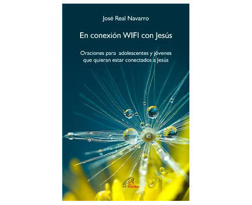 EN CONEXION WIFI CON JESUS, de REAL NAVARRO, JOSE | portada del libro