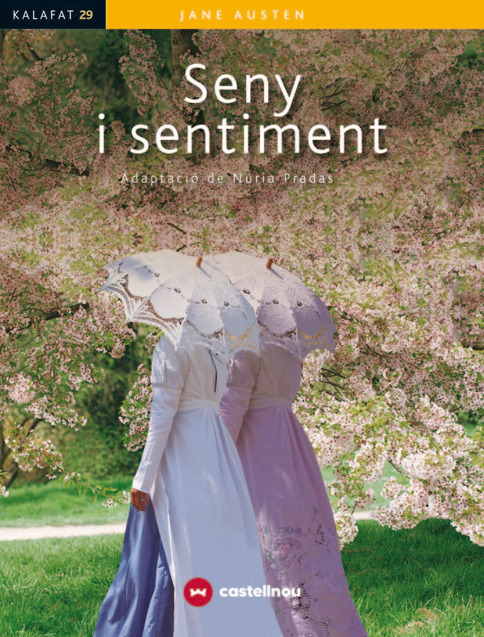 SENY I SENTIMENT | portada del libro