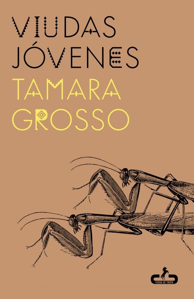 VIUDAS JOVENES, de GROSSO, TAMARA | portada del libro