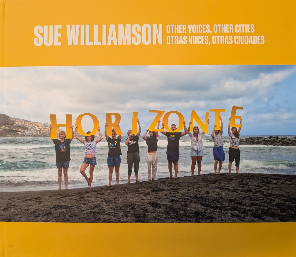 SUE WILLIAMSON. OTRAS VOCES, OTRAS CIUDADES, de BRITTO JINORIO, ORLANDO | portada del libro