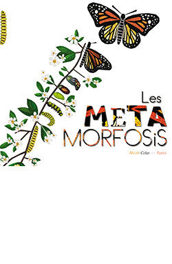 LES METAMORFOSIS, de COLAS DES FRANCS, NICOLE | portada del libro