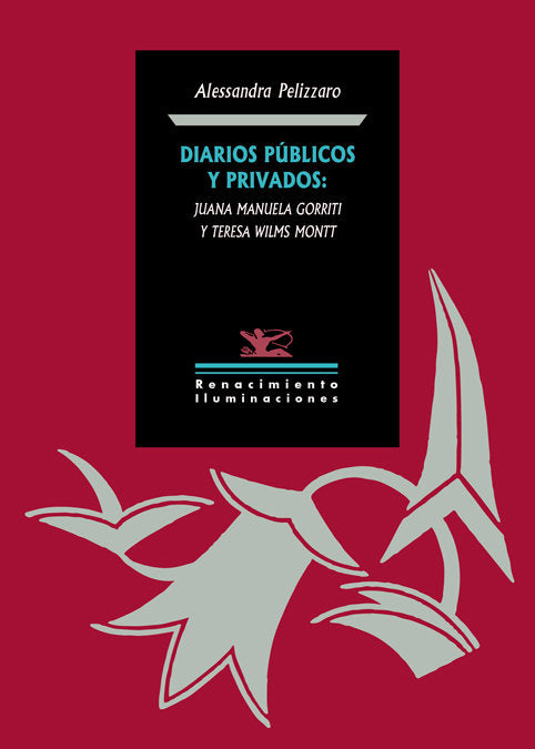 Diarios públicos y privados: Juana Manuela Gorriti y Teresa Wilms Montt, de Pelizzaro, Alessandra | portada del libro