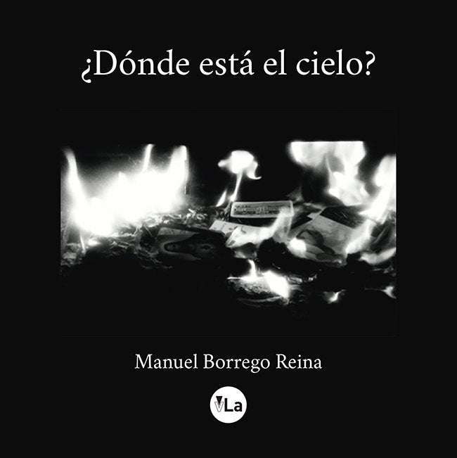 ¿Dónde está el cielo?, de Borrego Reina | portada del libro