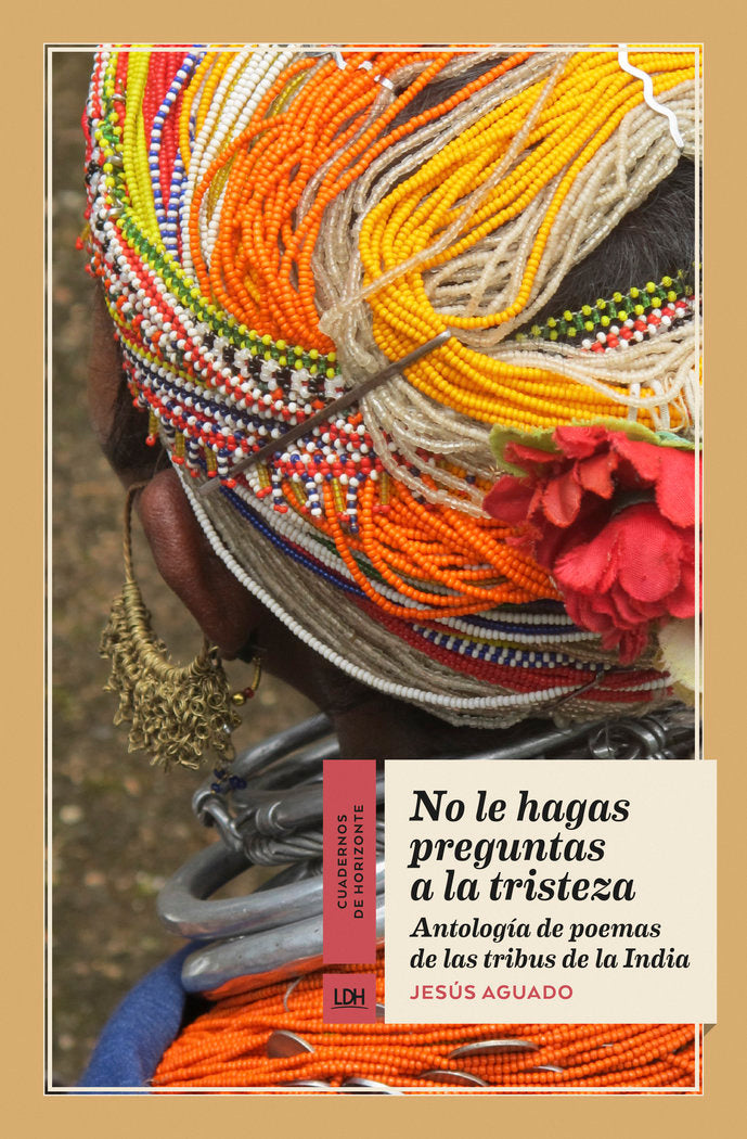No le hagas preguntas a la tristeza, de Aguado Fernández, Jesús | portada del libro