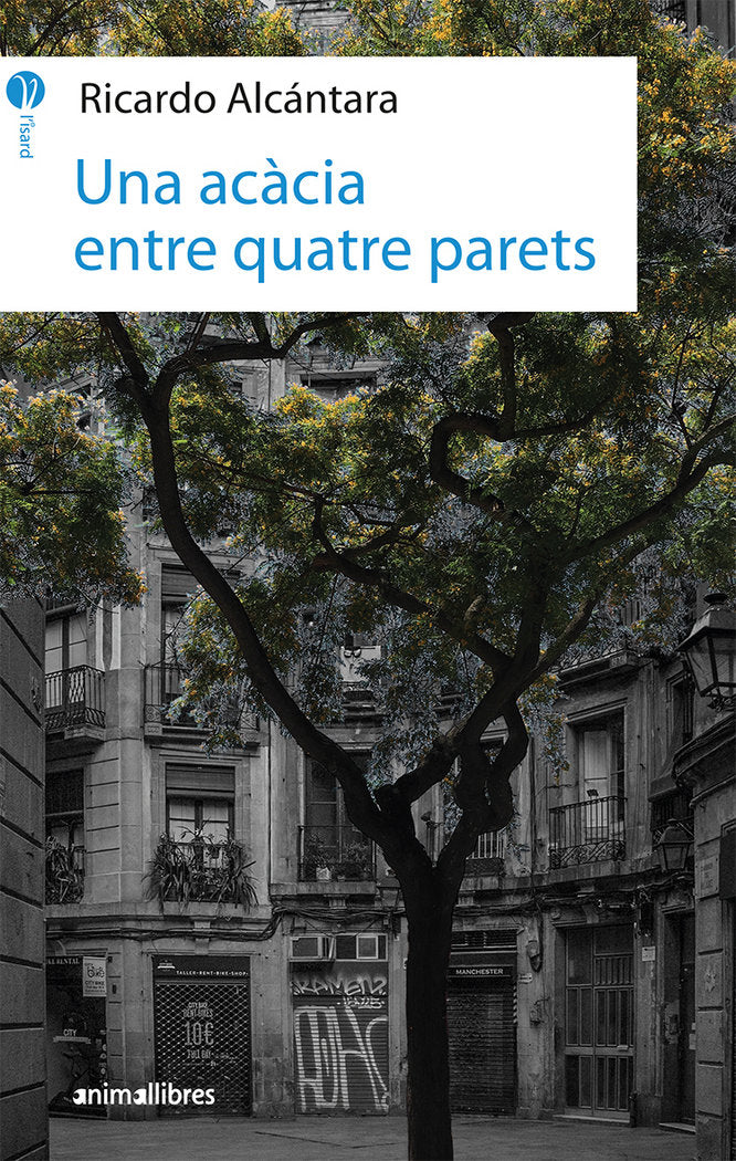Una acàcia entre quatre parets, de Ricardo Alcantara | portada del libro