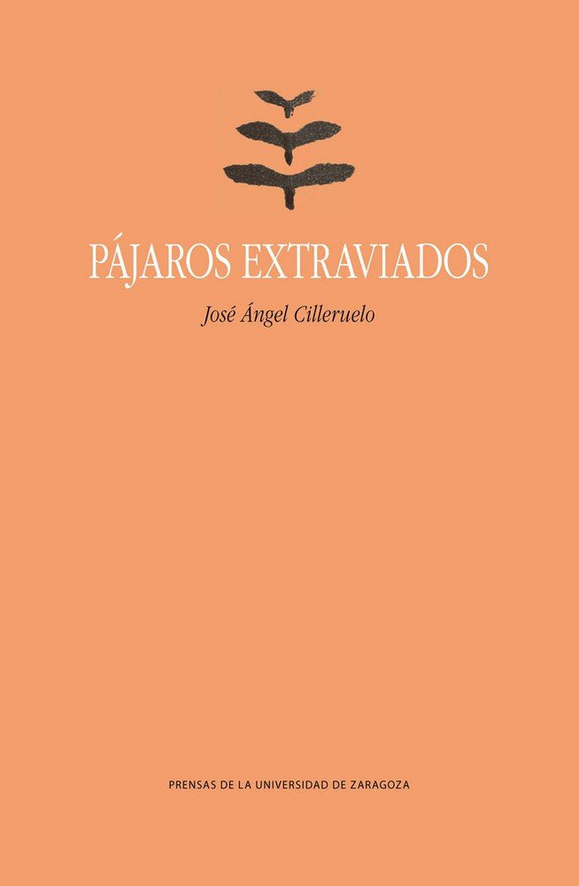 Pájaros extraviados, de Cilleruelo García, José Ángel | portada del libro
