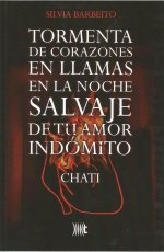 TORMENTA DE CORAZONES EN LLAMAS EN LA NOCHE SALVAJE DE TU CORAZÓN INDÓMITO (CHATI), de BARBEITO PAMPÍN | portada del libro