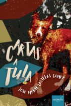 Cartas a Tula, de Casillas Gomez | portada del libro