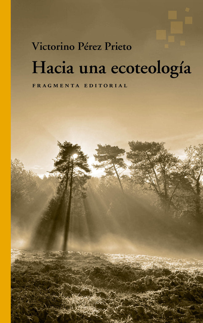 HACIA UNA ECOTEOLOGIA, de PEREZ PRIETO, VICTORINO | portada del libro
