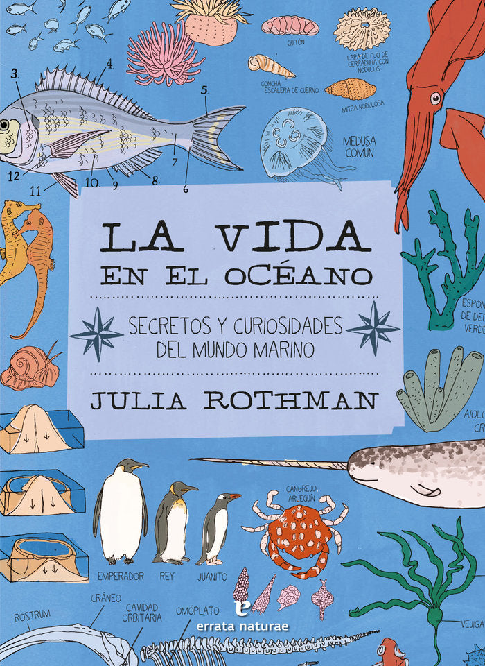 LA VIDA EN EL OCEANO, de ROTHMAN, JULIA | portada del libro