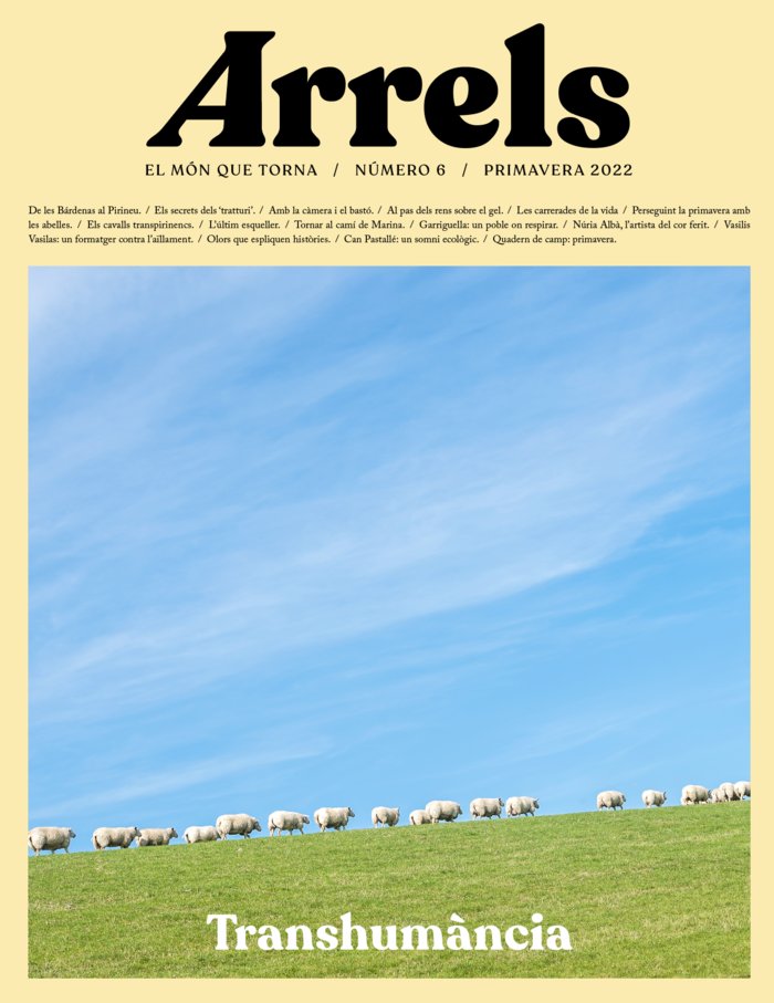 ARRELS 6, de SUCARRATS I MIRO, JOSEP MARIA | portada del libro
