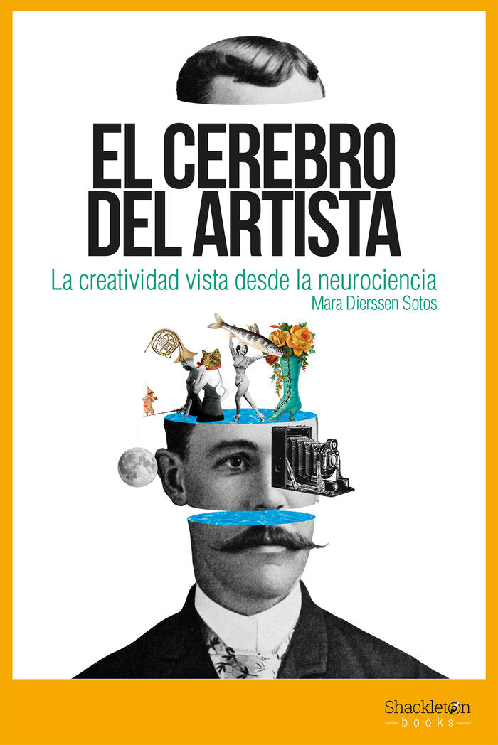 El cerebro del artista, de Dierssen Sotos, Mara | portada del libro
