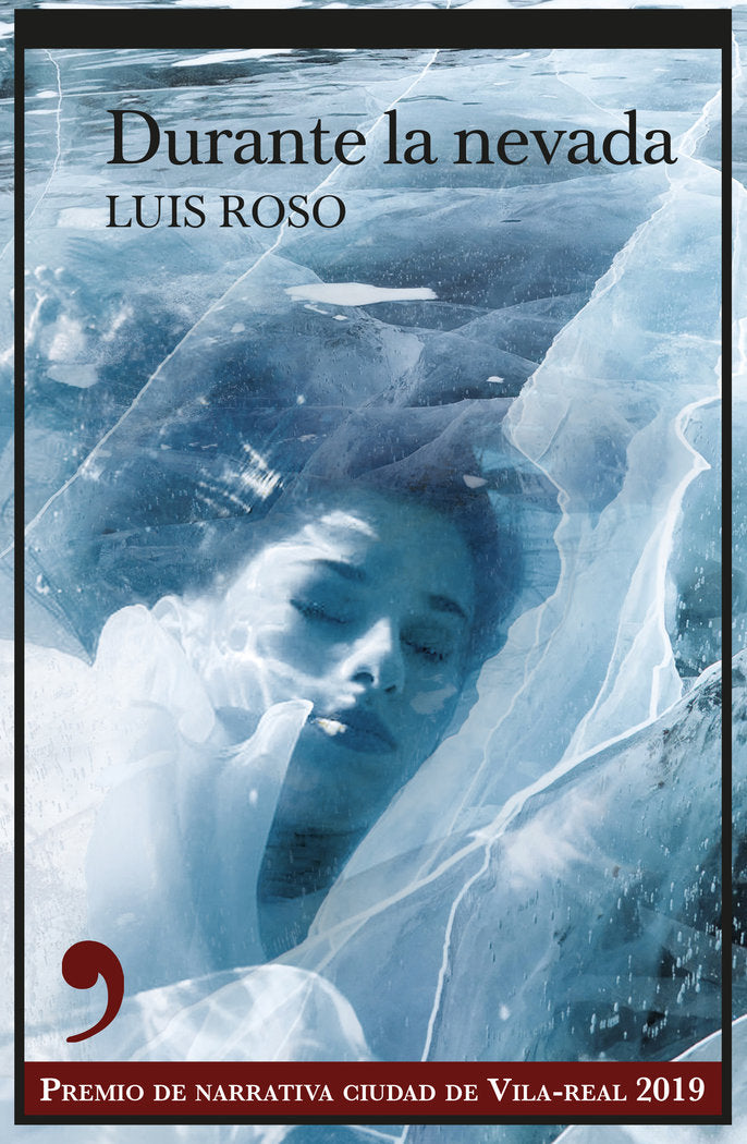 Durante la nevada, de Roso, Luís | portada del libro
