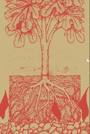 AUTONOMIA Y SUBSISTENCIA, de BERLAN, AURELIEN | portada del libro