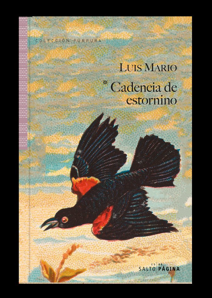 CADENCIA DE ESTORNINO, de MARIO,LUIS | portada del libro