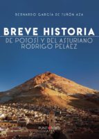 Breve historia de Potosí y del asturiano Rodrigo Peláez, de BERNARDO GARCIA DE TUÑON AZA | portada del libro