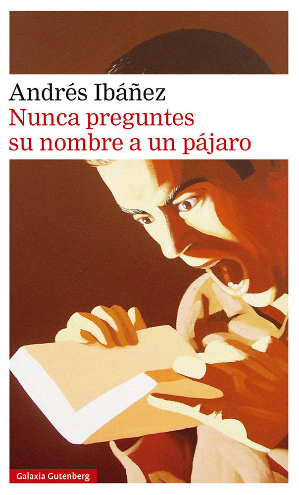 NUNCA PREGUNTES SU NOMBRE A UN PÁJARO, de Ibáñez | portada del libro
