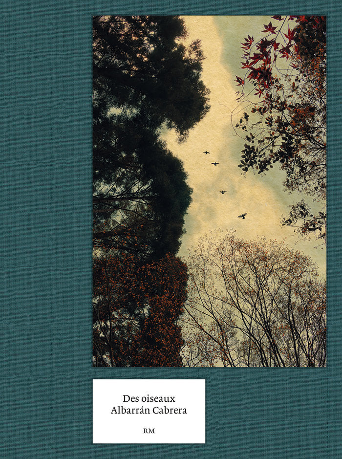 PÁJAROS *, de Albarran Cabrera | portada del libro