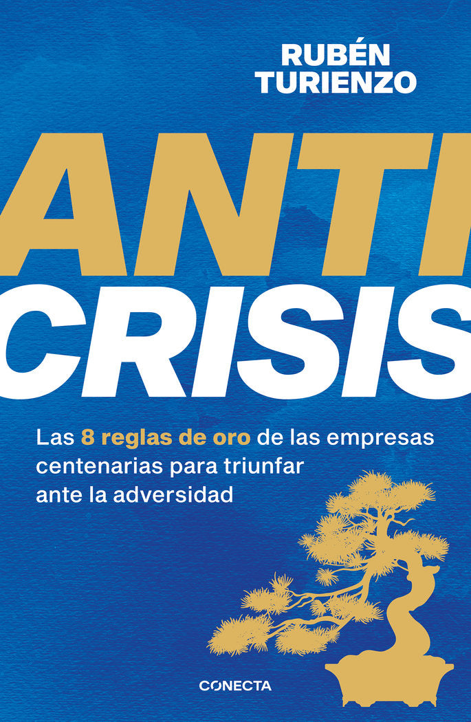Anticrisis, de RUBEN TURIENZO | portada del libro