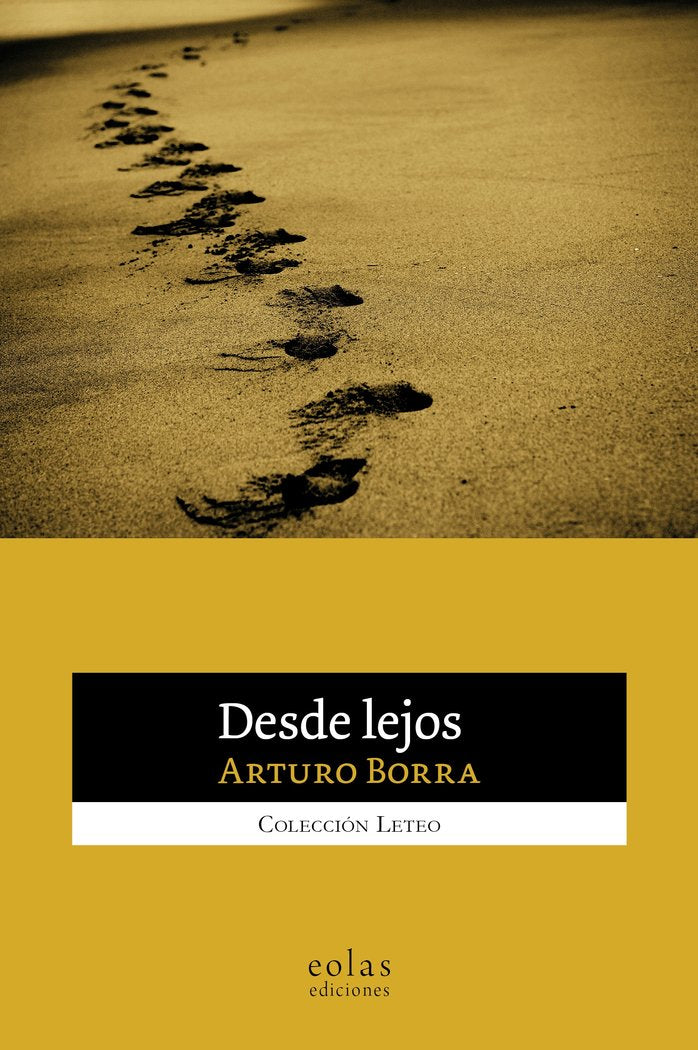 Desde lejos, de Borra, Arturo | portada del libro