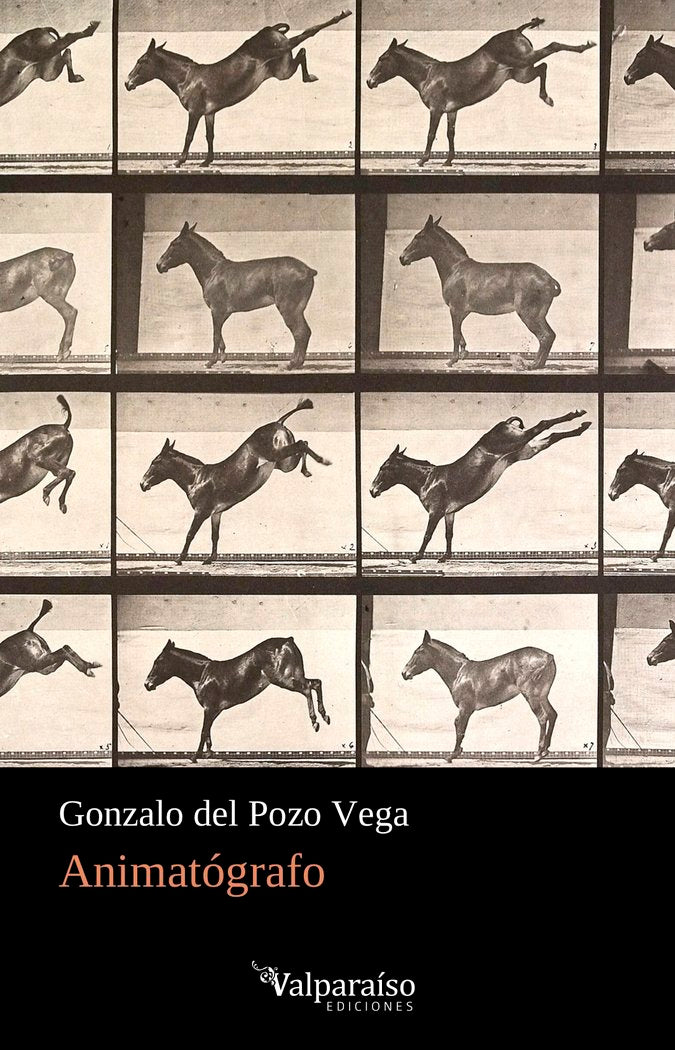 ANIMATÓGRAFO, de Del Pozo Vega, Gonzalo | portada del libro