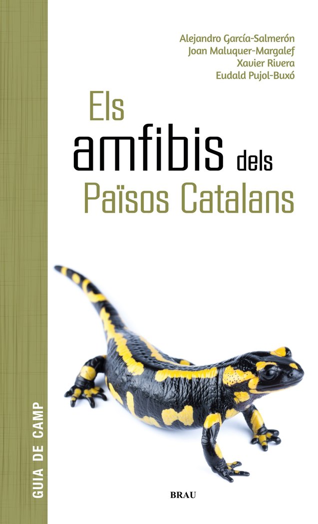 ELS AMFIBIS DELS PAØSOS CATALANS, de GARCIA SALMERON, ALEJANDRO | portada del libro