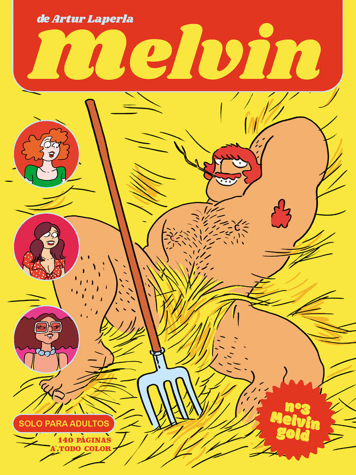 MELVIN 3, de LAPERLA, ARTUR | portada del libro