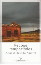 Recoge tempestades, de Alfonso Ruiz de Aguirre | portada del libro