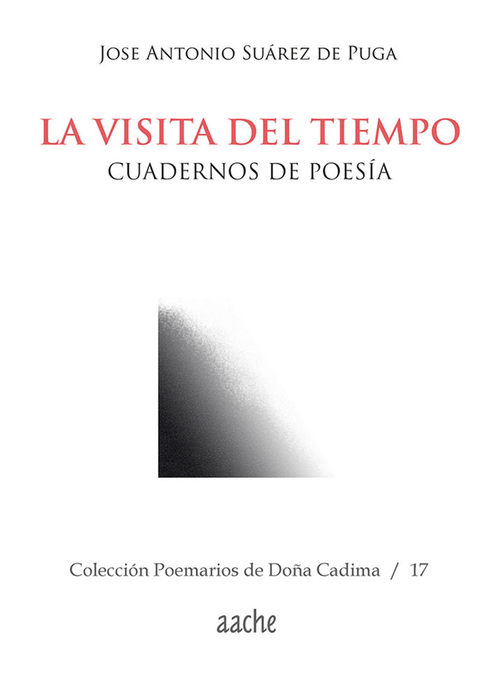 La visita del tiempo, de SUÁREZ de PUGA, José Antonio | portada del libro