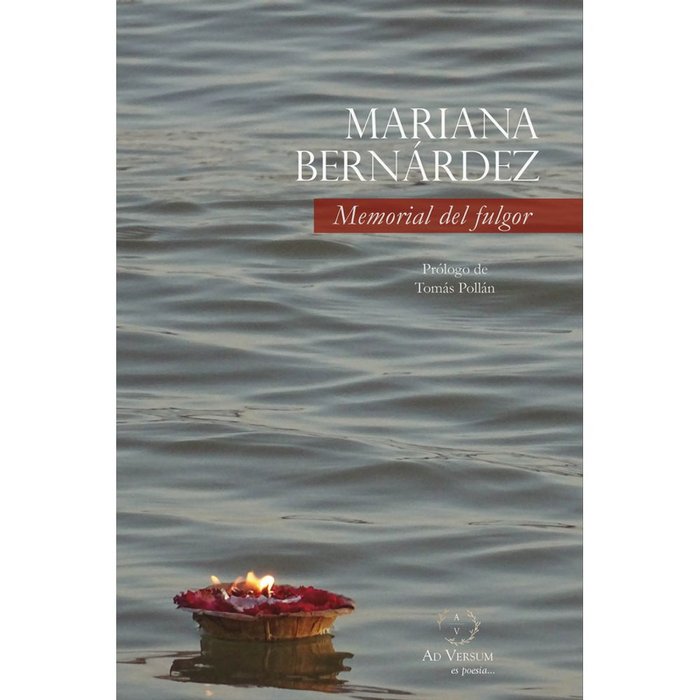 Memorial del fulgor, de BERNARDEZ ZAPATA, MARIANA | portada del libro