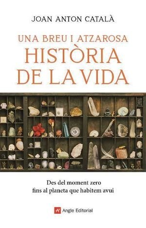 UN BREU I ATZAROSA HISTORIA DE LA VIDA, de CATALA, JOAN ANTON | portada del libro