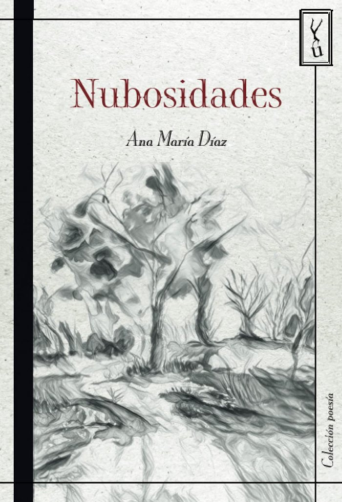NUBOSIDADES, de ANA MARIA DIAZ | portada del libro