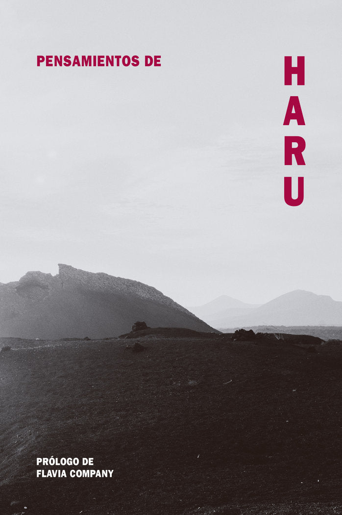 PENSAMIENTOS DE HARU, de COMPANY, FLAVIA | portada del libro