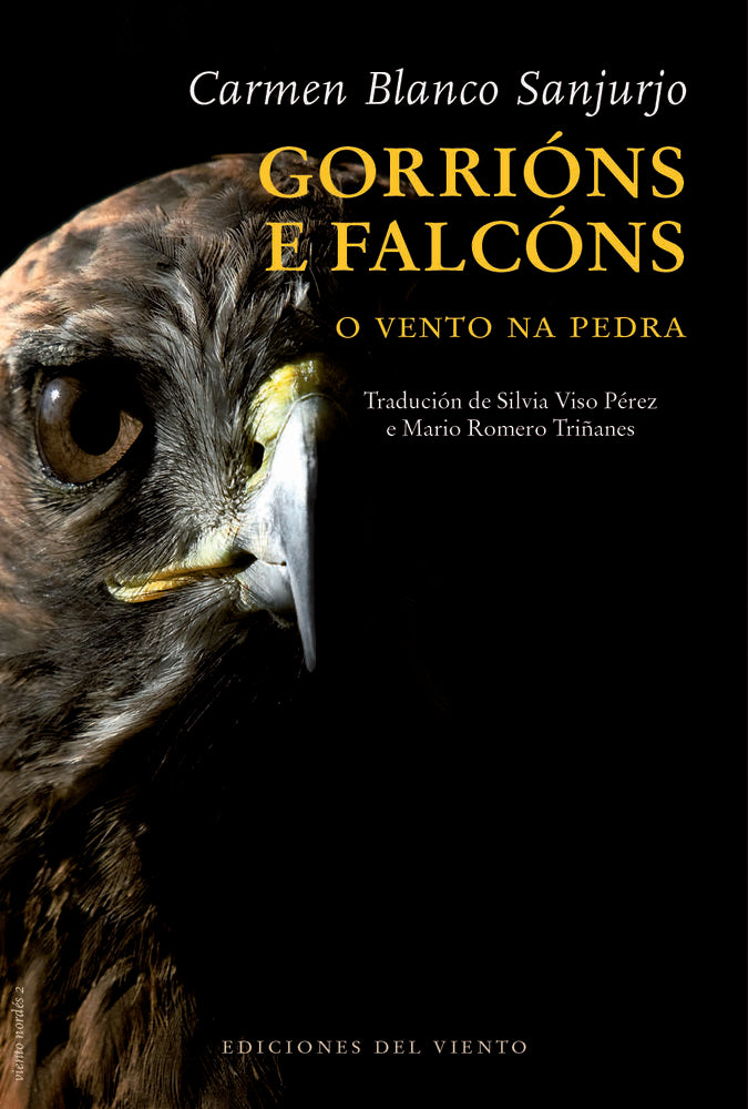 GORRIONS E FALCONS, de BLANCO SANJURJO,CARMEN | portada del libro