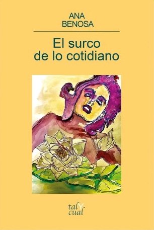 El surco de lo cotidiano, de Benosa Lalaguna, Ana | portada del libro