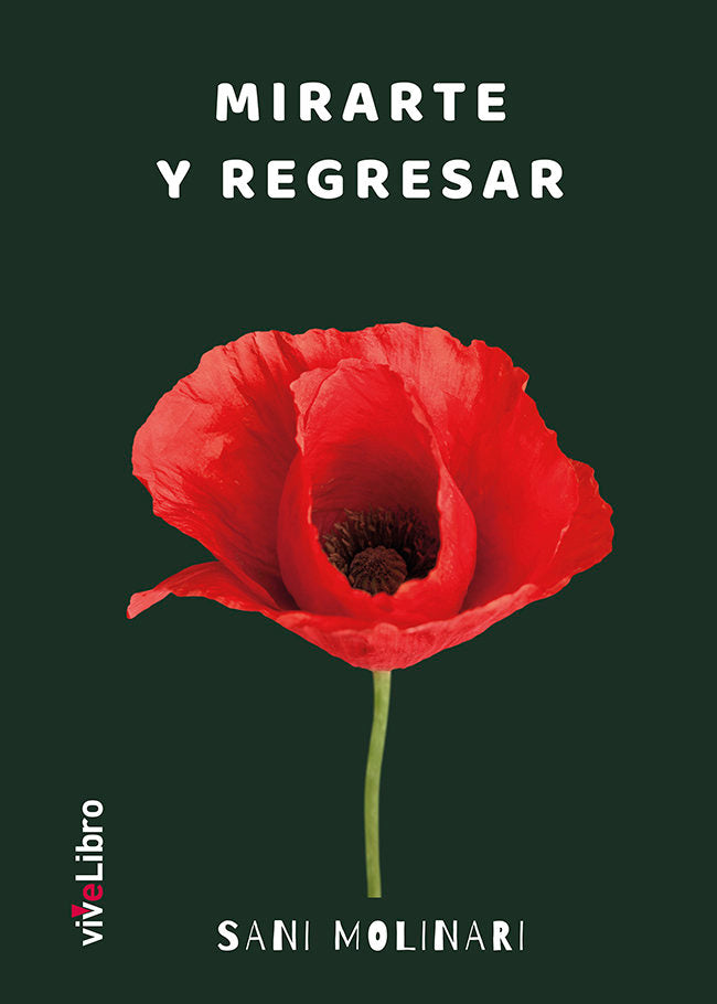 Mirarte y regresar, de Molinari, Sani | portada del libro