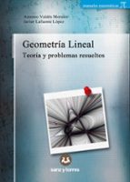 GEOMETRIA LINEAL, de ANTONIO VALDES MORALES | portada del libro