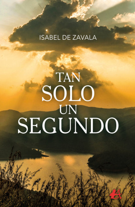 Tan solo un segundo, de De Zabala, Isabel | portada del libro