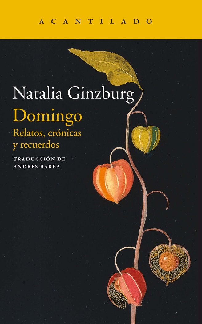 Domingo, de Ginzburg, Natalia | portada del libro