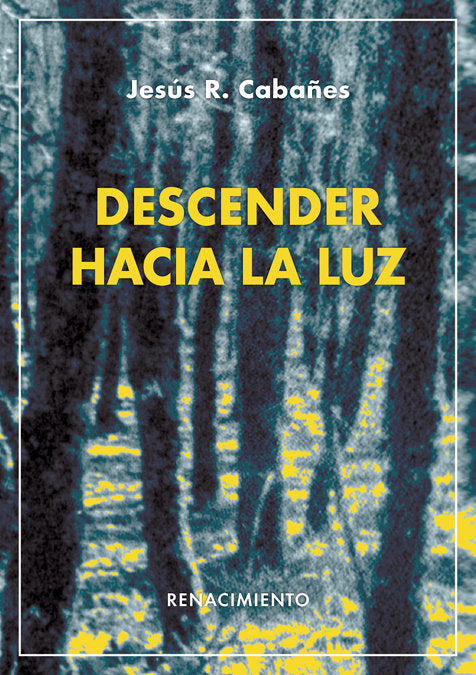 Descender hacia la luz, de Rodríguez Cabañes, Jesús | portada del libro